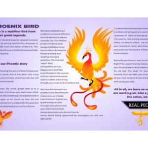 Our Phoenix Story